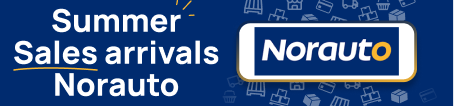 Norauto Sales